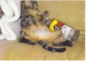 Photographic Competition Results