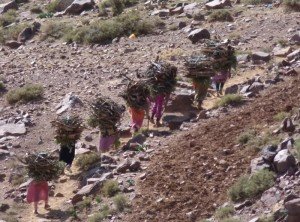 Susan & Brian’s Arabian Nights – Part 2