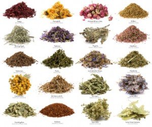 Herb & Spice List