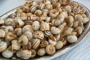 Festa de Caracóis