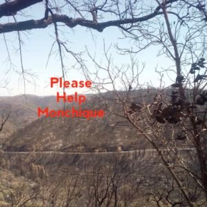 Please Help Monchique