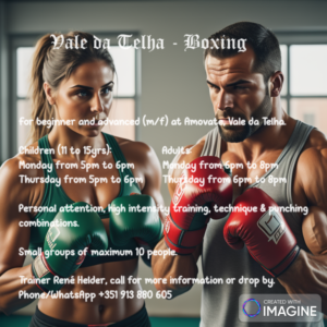 René Helder’s Boxing Class