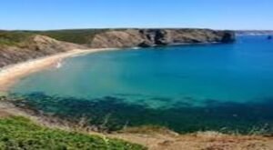 November 2025 Newsletter