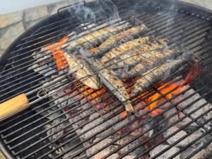 September 2025 Newsletter – Part 2