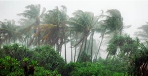 Predicting Rain with Weather Radar